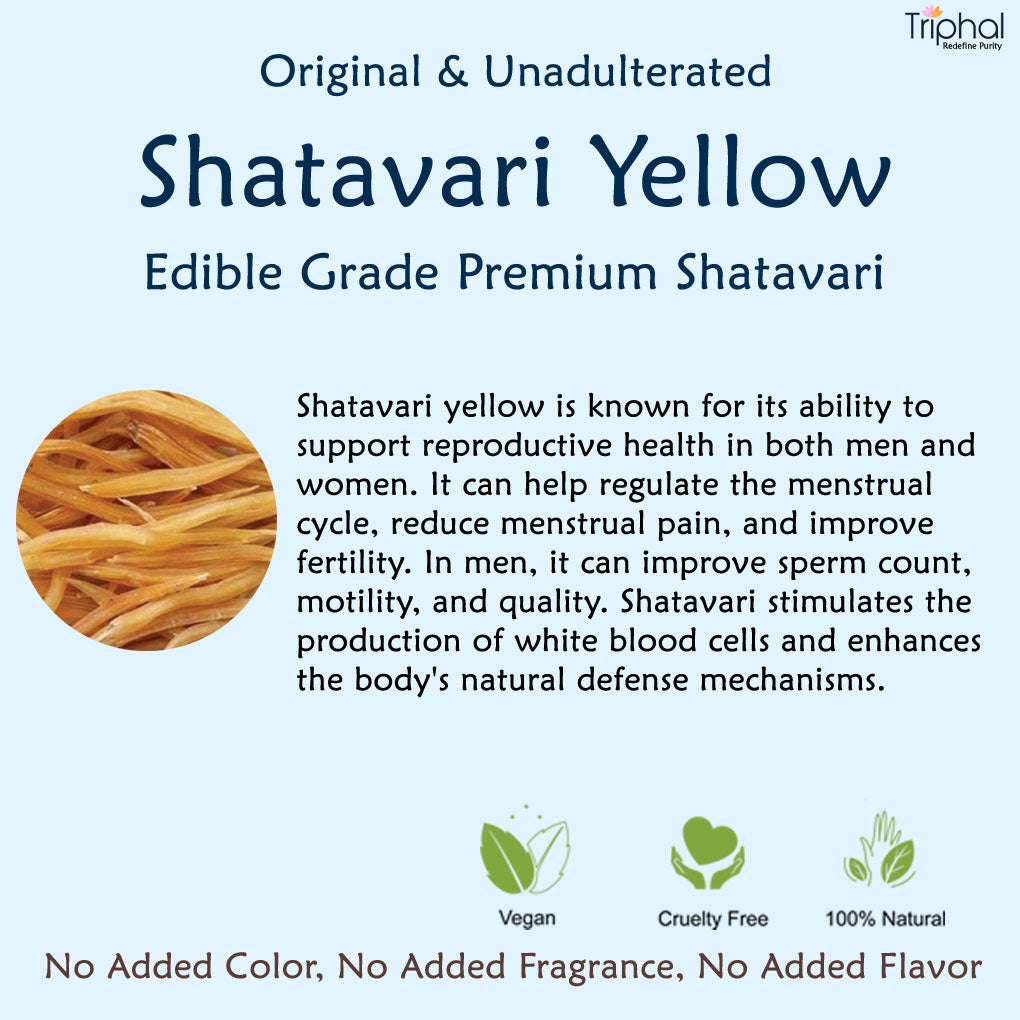 Triphal Shatavari Root Yellow – Shatawar Jad Pili – Asparagus Racemosus