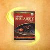Multani Shilajeet Gold - 1000 tabs