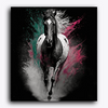Paint Waint Black Horse Running