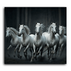 Paint Waint 5 White Horses