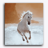Paint Waint The White Horse on Beach