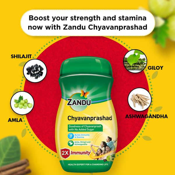 Zandu (Sugar Free) Chyavanprashad - 900 Gms