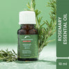 Alps Goodness Pure Rosemary Essential Oil