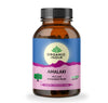 Organic India Amalaki Capsules