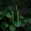 82¬∞E Gotu Kola Dew - 100 ml