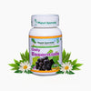 Planet Ayurveda Daily Essentials - 60 tabs