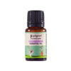 Pilgrim Spanish Rosemary Essential Oil - 10 ml