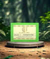 Khadi Natural Herbal Lemongrass Soap Combo Pack of 3