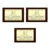 Khadi Natural Apricot Scrub Soap Combo Pack of 3
