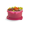 Signoraware Executive Round Medium Storage Container - Pink