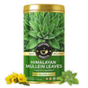 Teacurry Himalayan Mullein Leaves Tea - 10 Teabags