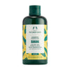 The Body Shop Banana Nourishing Shampoo, Repairs Frizz, Organic Banana Puree (250ml)