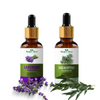 Nature Glow Lavender + Eucalyptus Essential Oil Pack of 2 (30ml)