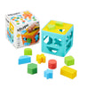 Generic Plastic Shape Sorter Cube Toy