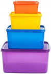 Signoraware Family Fresh Plastic Storage Container Set of 4 Multicolor (2500ml + 1200ml + 500ml + 160ml)