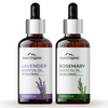 Aravi Organic Lavender and Rosemary Essential Oil Combo