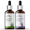 Aravi Organic Tea Tree and Lavender Essential Oil Combo