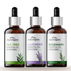 Aravi Organic Tea Tree & Lavender & Rosemary Essential Oil Combo