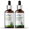Aravi Organic Tea Tree and Rosemary Essential Oil Combo