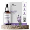 Aravi Organic Lavender Essential Oil - 15 ml